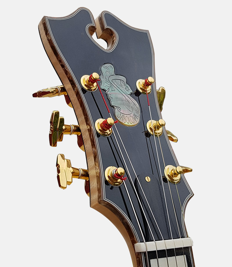 Acoustic Extracteur De Broches De Guitare Extracteur De Solvant Outil Avec  Guitare Sillet Nut Et Broches De Pont De Guitare 17 PCS : :  Instruments de musique et Sono